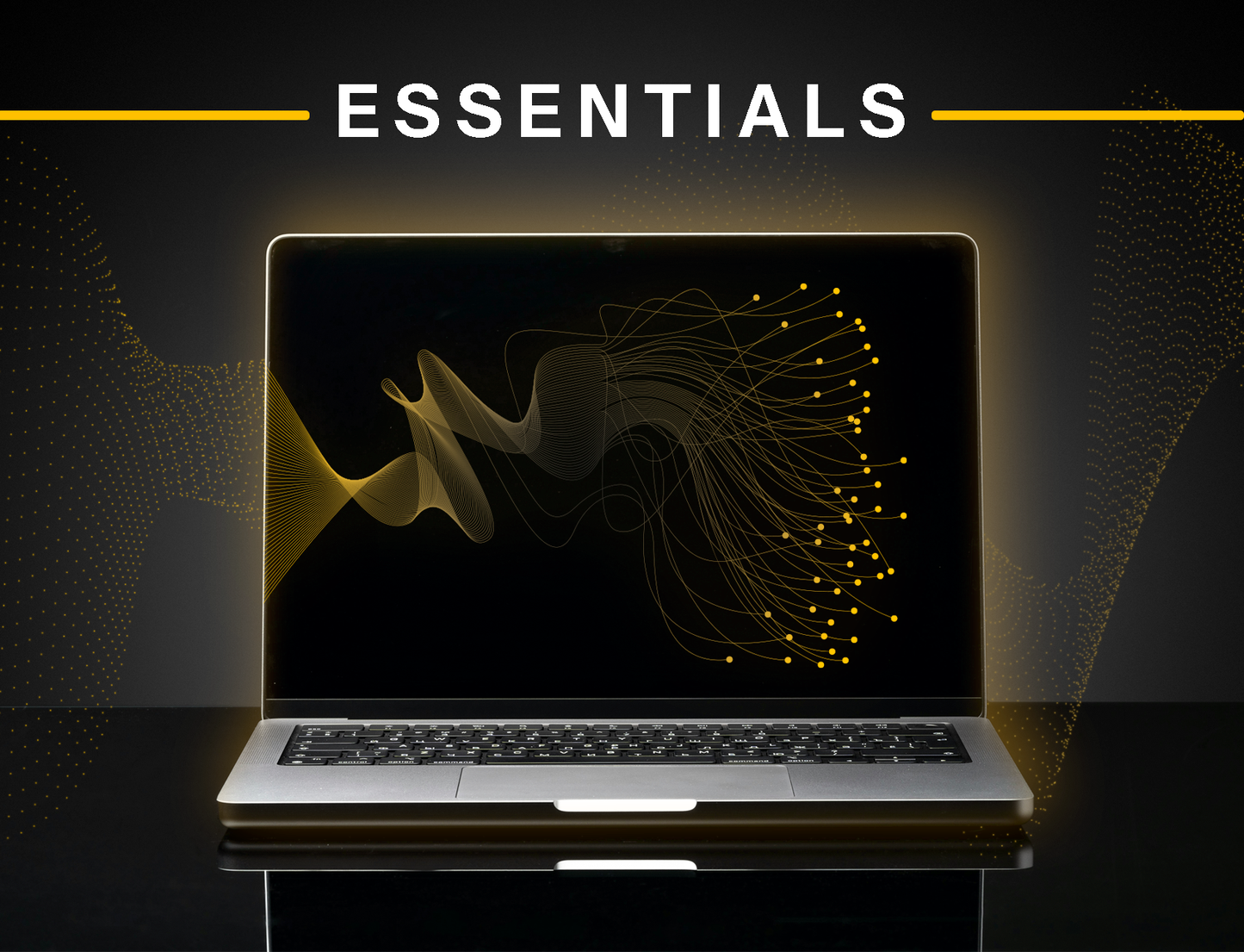 SaaS penetration testing | Essentials