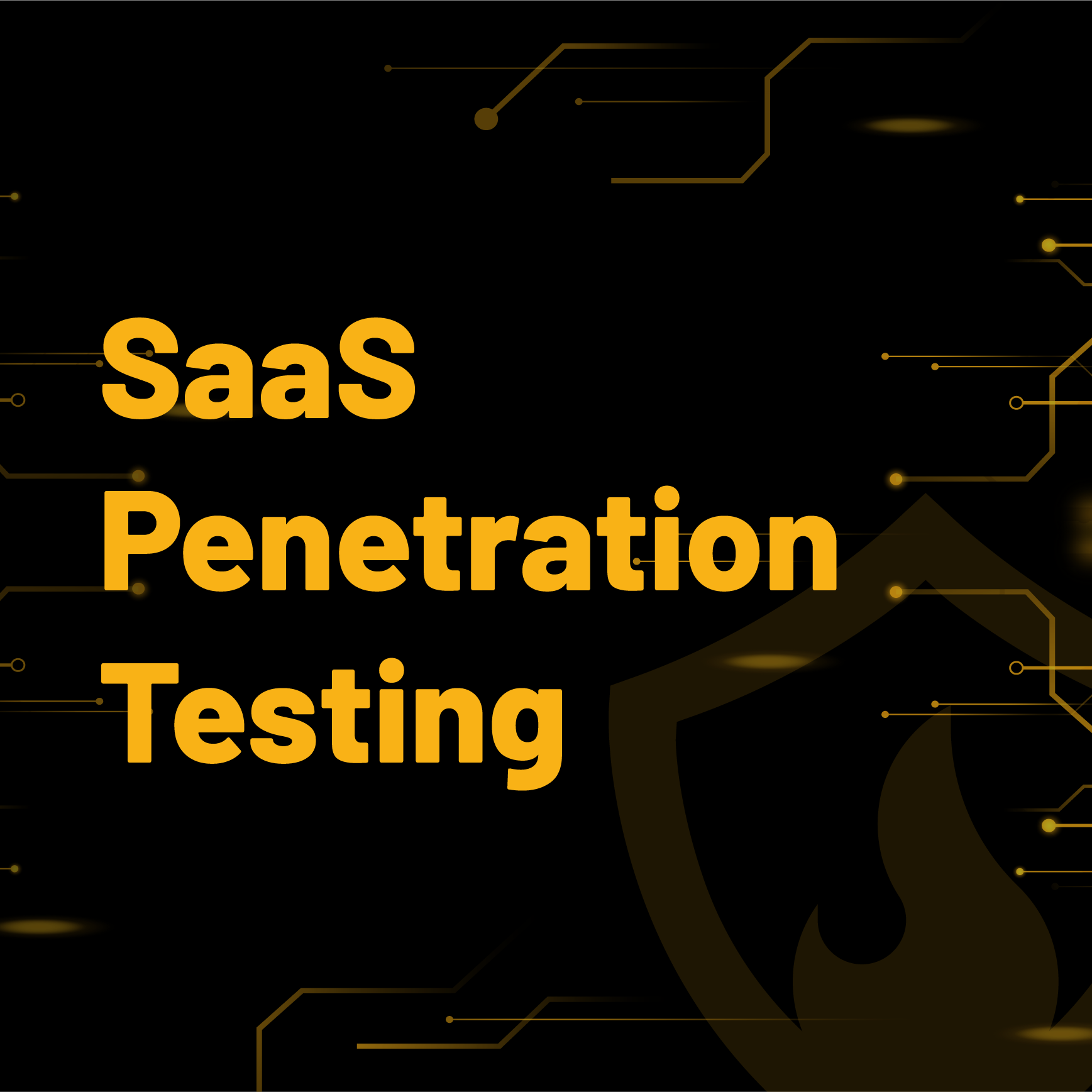 SaaS penetration testing | Small