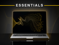 SaaS penetration testing | Essentials