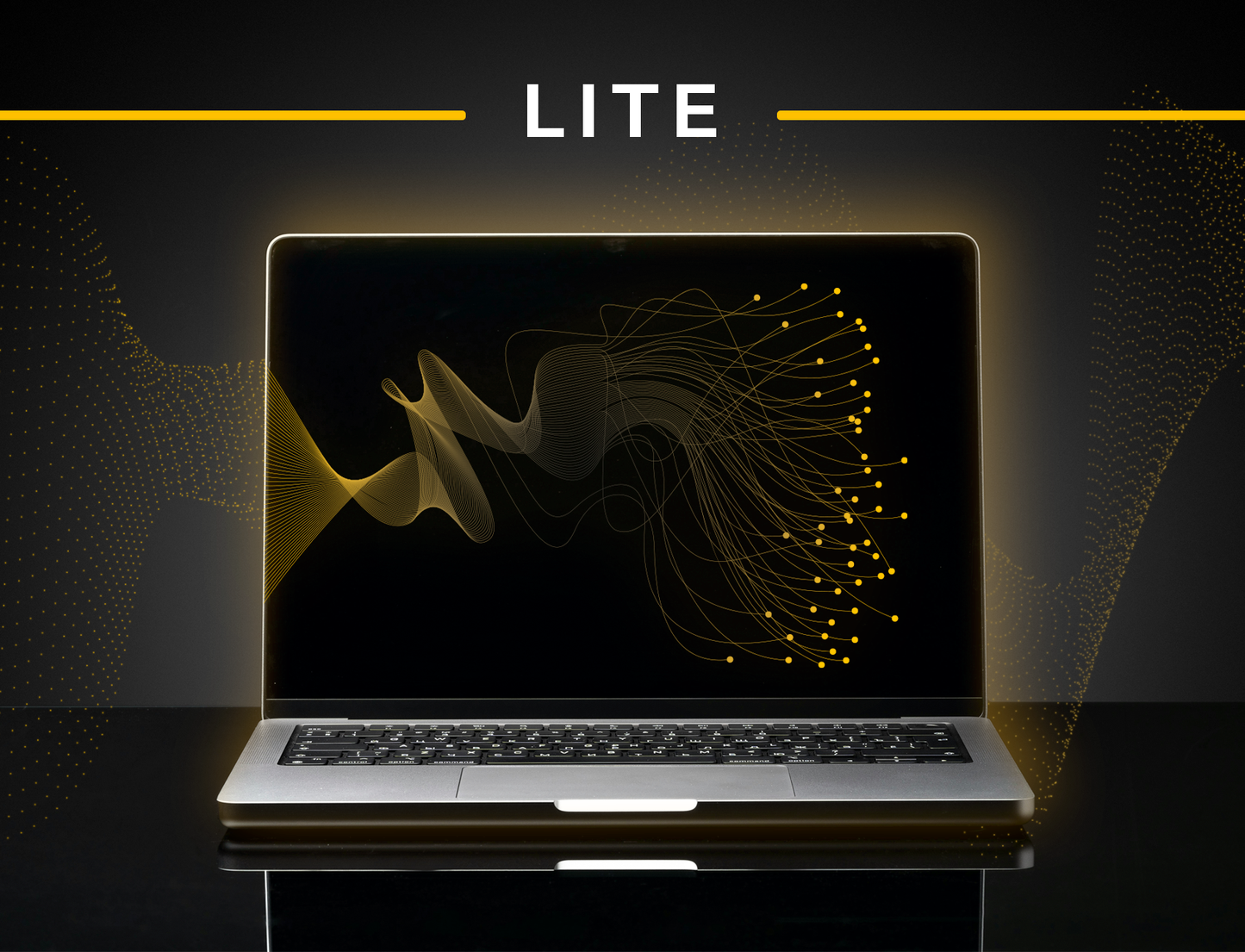 SaaS penetration testing | Lite