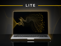 SaaS penetration testing | Lite