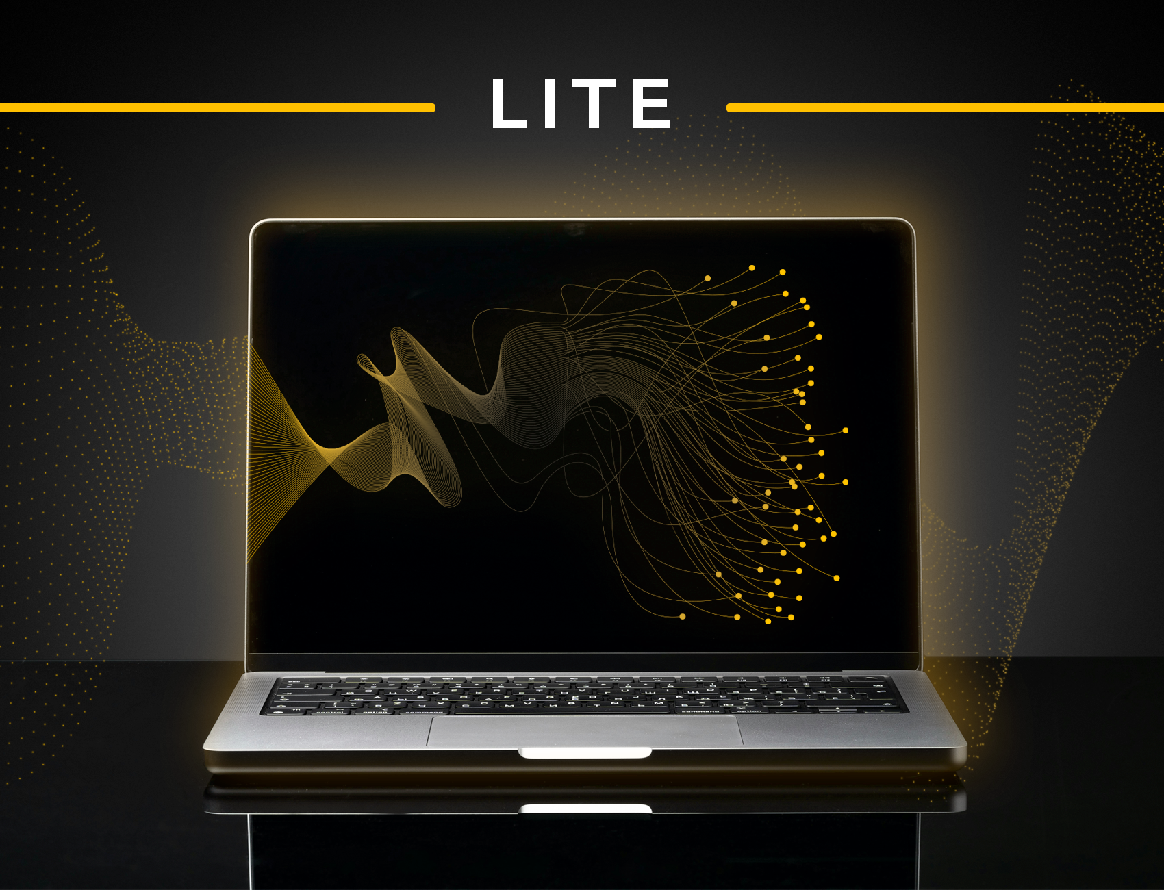 SaaS penetration testing | Lite