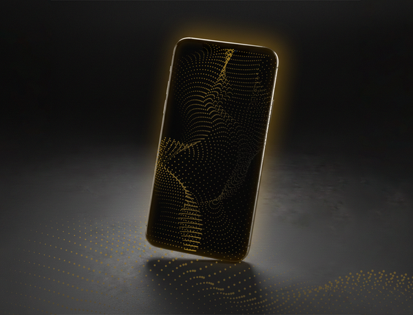 Web Application Penetration Testing