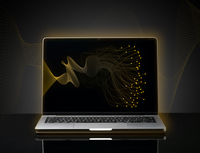 SaaS penetration testing | Lite