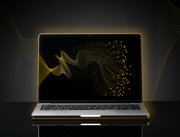 Web Application Penetration Testing